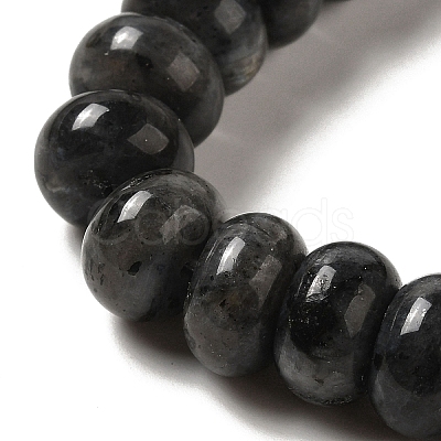 Natural Larvikite Beads Strands G-G102-C03-01-1