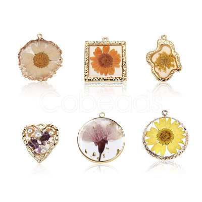 Craftdady 12Pcs 6 Style Epoxy Resin Pendants RESI-CD0001-04-1