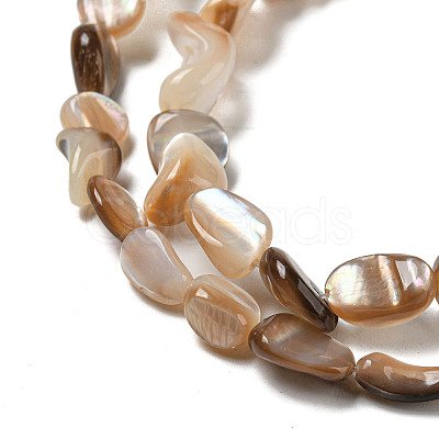 Natural Seashell Beads Strands SSHEL-H072-14-1