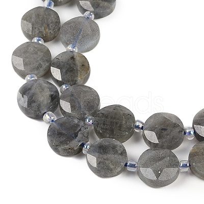 Natural Labradorite Beads Strands G-C116-A46-01-1