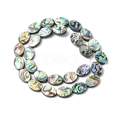 Natural Paua Shell Beads Strands SHEL-F006-06-1