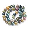 Natural Indian Agate Beads Strands X-GSR10mmC002-3