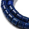 Natural Lapis Lazuli Beads Strands G-C084-A05-01-4