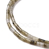 Natural Labradorite  Beads Strands G-M389-10-3