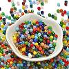 Opaque Colours Glass Seed Beads SEED-C001-02B-05-2