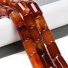 Natural Red Agate Beads Strands G-NH0019-A03-04-5