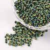 12/0 Opaque Colours Seep Glass Beads SEED-M008-C05-1