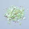 Plastic Candy Sequins/Paillette Chip DIY-I019-02C-2