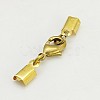 Clip Ends With Lobster Claw Clasps KK-G144-G-2
