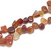 Natural Carnelian Beads Strands G-S316-28-1