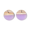 Transparent Resin & Wood Stud Earrings EJEW-N017-003A-D03-4