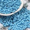 Baking Paint Glass Seed Beads SEED-K009-01A-06-1