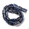 Natural Blue Spot Jasper Beads Strands G-T047-B10-01-3