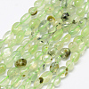 Natural Prehnite Beads Strands G-P406-46-1