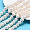 Natural Cultured Freshwater Pearl Beads Strands X-SPPA007Y-1-1