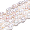 Natural Baroque Pearl Keshi Pearl Beads Strands PEAR-S020-F10-02-3