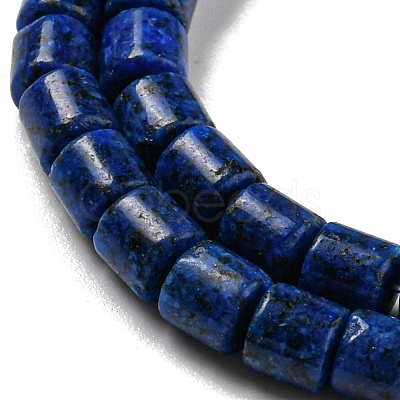 Natural Lapis Lazuli Beads Strands G-C084-A05-01-1