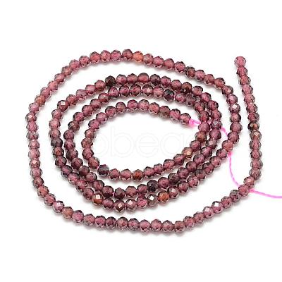 Natural Garnet Beads Strands G-S152-03-3mm-1