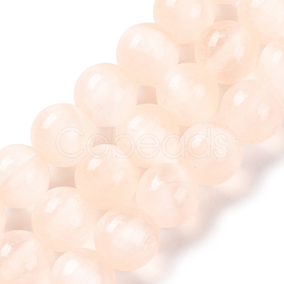 Natural Selenite Beads Strands G-C142-01C-08-1