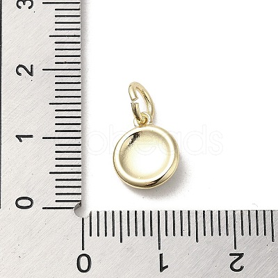 Brass Enamel Charms KK-E092-13G-04-1