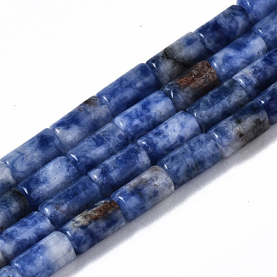 Natural Blue Spot Jasper Beads Strands G-S366-078-1