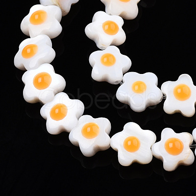 Natural White Shell Beads Strands SHEL-N003-30-1