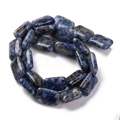 Natural Blue Spot Jasper Beads Strands G-T047-B10-01-1