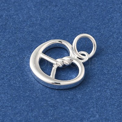 925 Sterling Silver Imitation Food Charms FIND-U013-11S-02-1