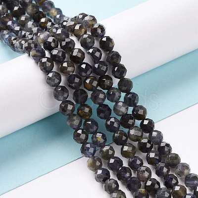 Natural Iolite Beads Strands G-P488-02B-1