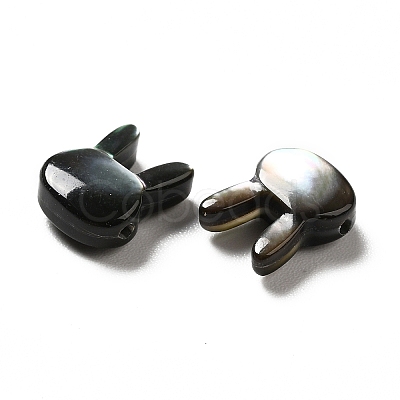 Natural Black Lip Shell Beads SHEL-G014-06A-1