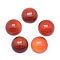 Natural Carnelian Cabochons, Dyed & Heated, Half Round, 13.5~14x6~8mm