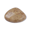 Natural Fossil Coral Pendants G-G779-02B-2