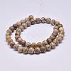 Natural Maifanite/Maifan Stone Beads Strands G-F353-8mm-2