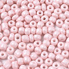 6/0 Glass Seed Beads SEED-S058-A-F405-3