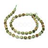 Natural Rhyolite Jasper Beads Strands G-O201B-08-2