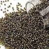 TOHO Round Seed Beads SEED-JPTR15-0281-1