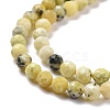 Natural Yellow Turquoise(Jasper) Beads Strands G-D463-11C-3