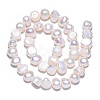 Natural Cultured Freshwater Pearl Beads Strands PEAR-N014-08E-4