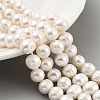 Natural Cultured Freshwater Pearl Beads Strands PEAR-C003-14F-2