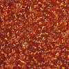 8/0 Glass Seed Beads SEED-A005-3mm-29-2
