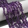 Natural Amethyst Beads Strands G-G0003-B44-2