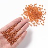 (Repacking Service Available) Glass Seed Beads SEED-C015-4mm-109B-4