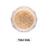 Shining Nail Art Glitter Powder MRMJ-T063-550L-2