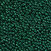 11/0 Grade A Baking Paint Glass Seed Beads X-SEED-N001-A-1029-2