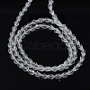 Teardrop Crystal Glass Beads Strands X-GLAA-F022-C01-3
