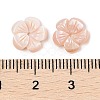 Natural Pink Shell Carved Beads SSHEL-I026-12B-02-3