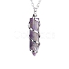 Natural Amethyst Hexagon Prism Pendant Necklace with Platinum Alloy Chains PW-WG80696-01-1