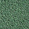 (Repacking Service Available) Glass Seed Beads SEED-C021-4mm-127-2
