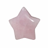 Natural Gemstone Home Display Decorations G-PW0007-124-2