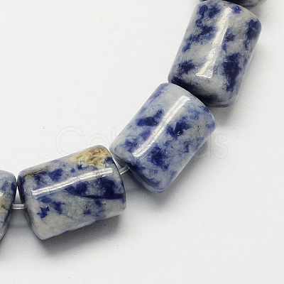 Natural Gemstone Blue Spot Jasper Column Beads Strands G-S115-11-1